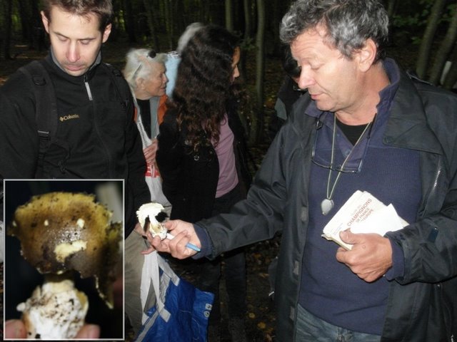 2011 09 18 Sortie myco étang d'Or 02